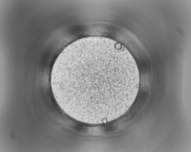 X0000114110309200911161124