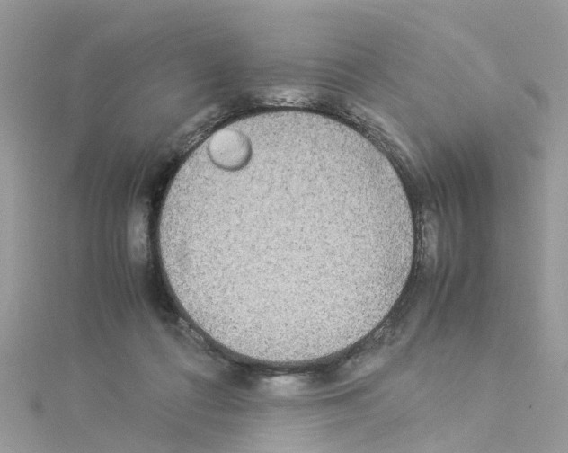 X0000114110312200911161124