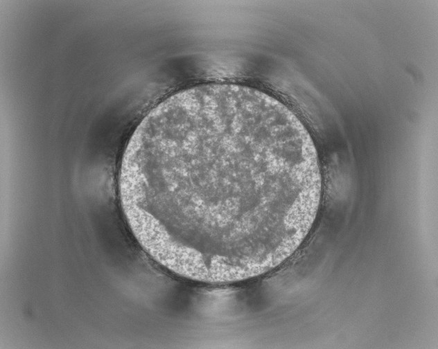 X0000114110313200911161124