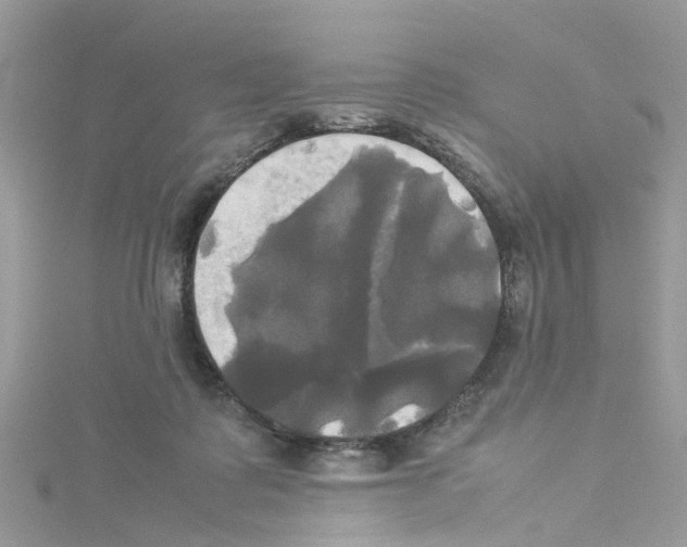 X0000114110315200911161124