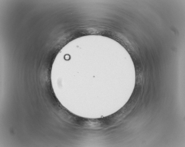 X0000114110317200911161124