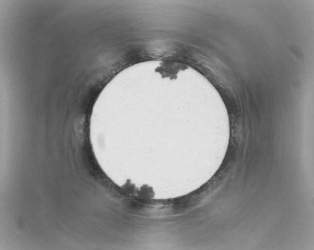 X0000114110319200911161124