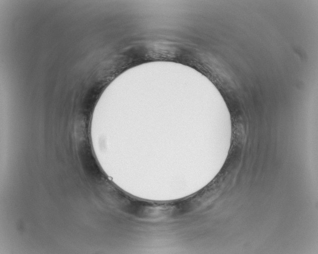 X0000114110323200911161124