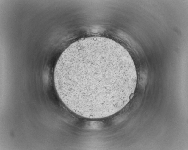 X0000114110324200911161124