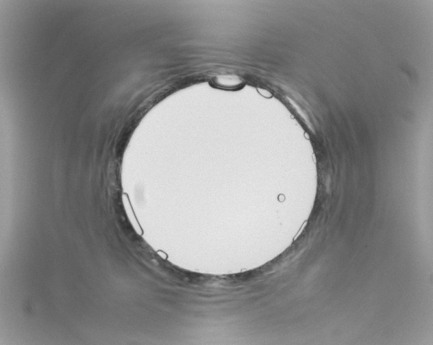 X0000114110325200911161124