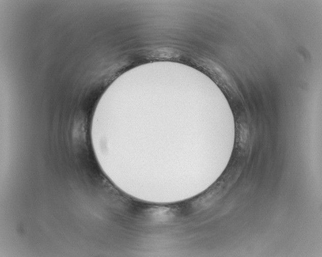 X0000114110326200911161124