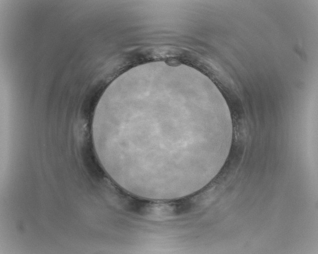 X0000114110327200911161124