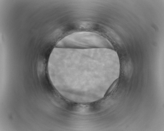 X0000114110328200911161124