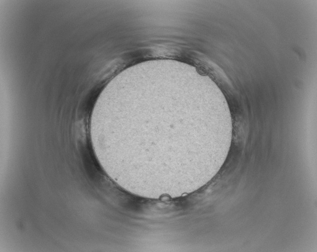 X0000114110329200911161124