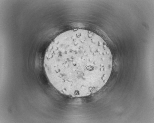 X0000114110330200911161124