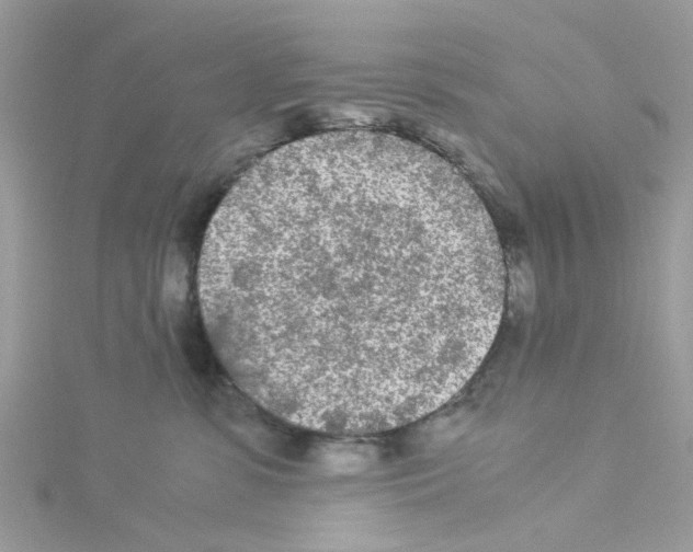 X0000114110331200911161124