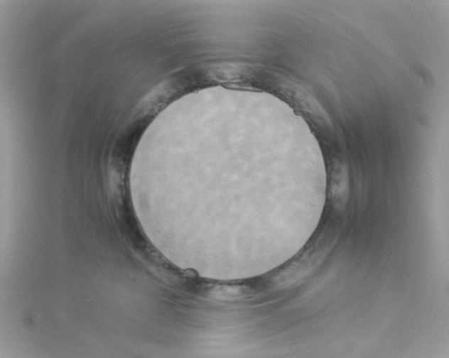 X0000114110332200911161124