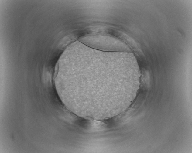 X0000114110333200911161124