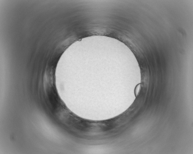 X0000114110334200911161124