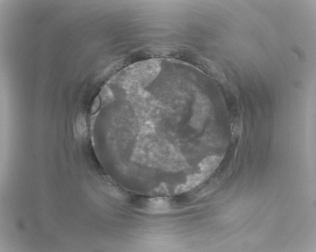 X0000114110335200911161124