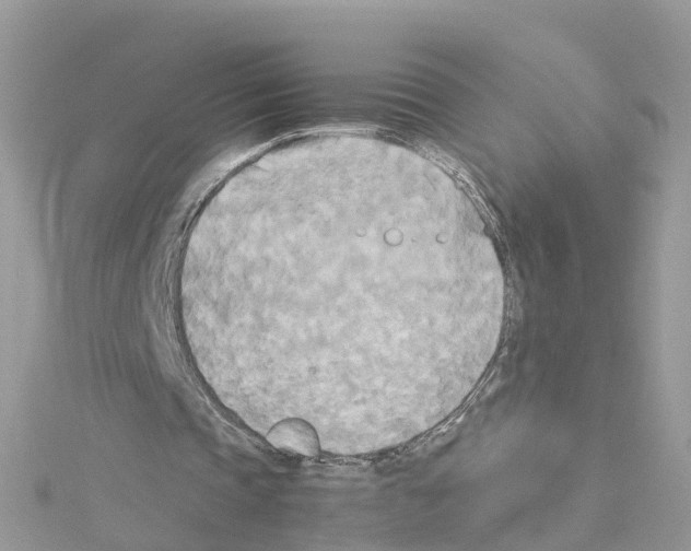 X0000114110337200911161123