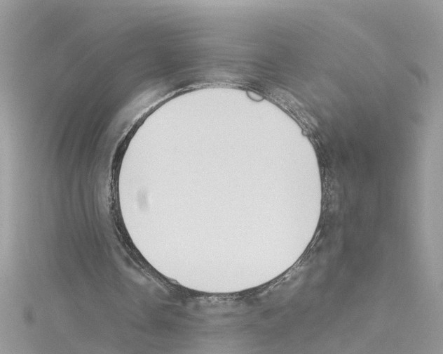 X0000114110338200911161123