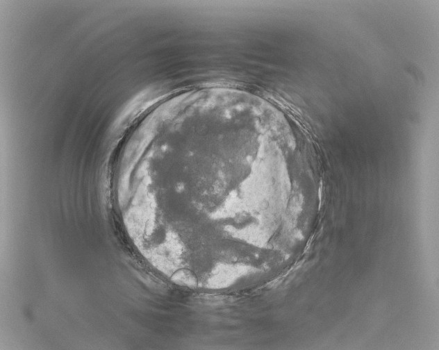 X0000114110339200911161123