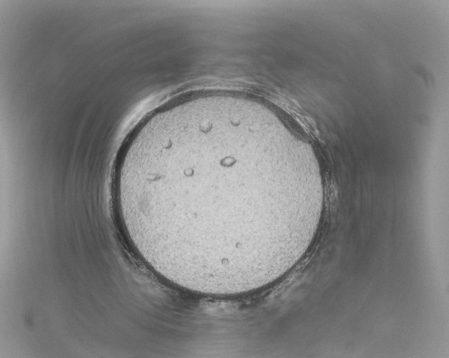 X0000114110340200911161123