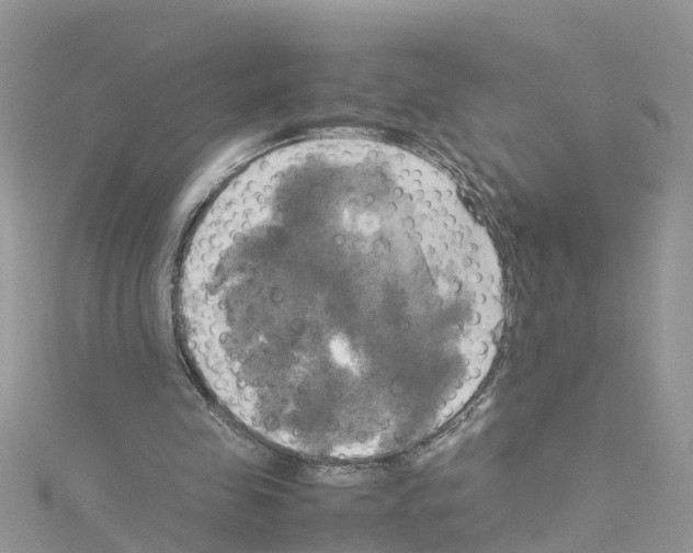 X0000114110341200911161123