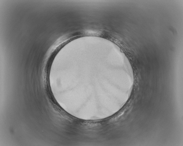 X0000114110343200911161123