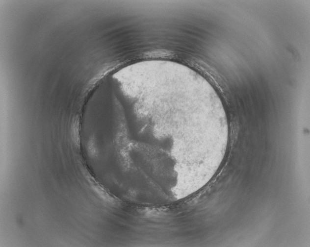 X0000114110345200911161123