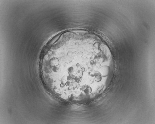 X0000114110346200911161123