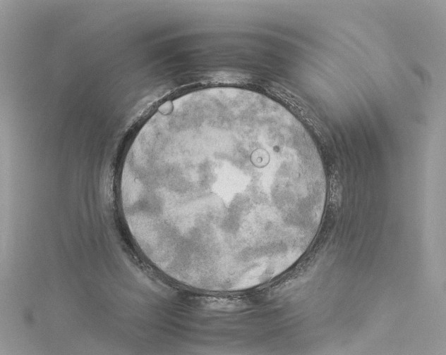 X0000114110347200911161123