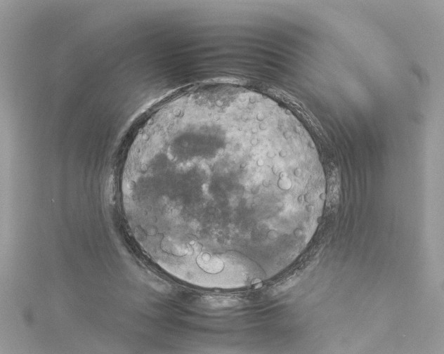 X0000114110351200911161123