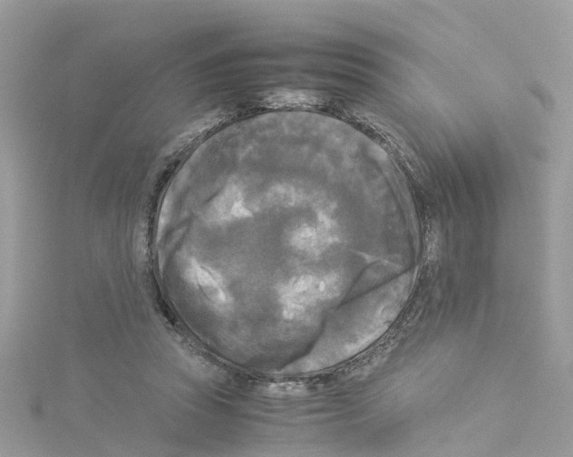 X0000114110353200911161123