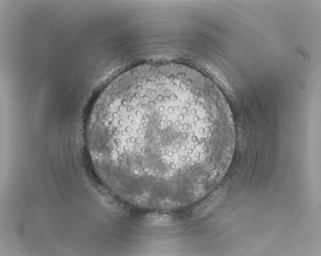 X0000114110354200911161123