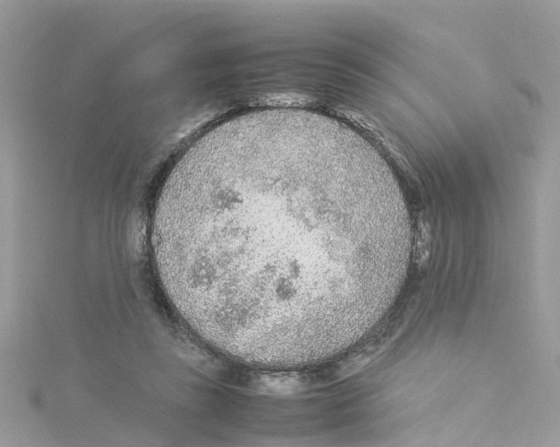 X0000114110355200911161123