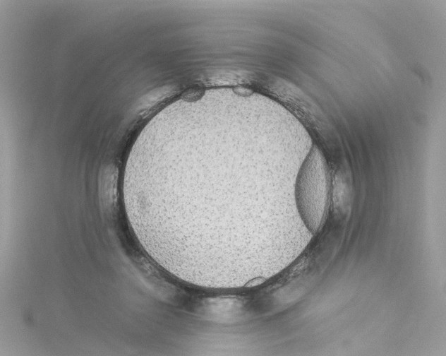 X0000114110356200911161123