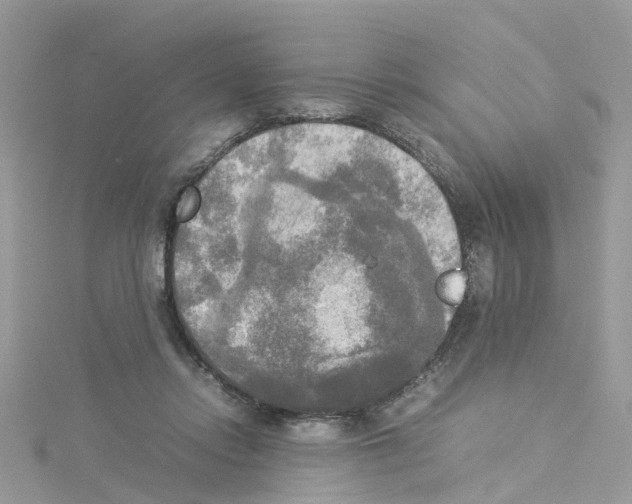 X0000114110358200911161123