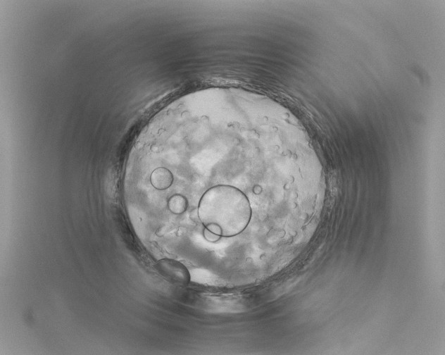 X0000114110359200911161123