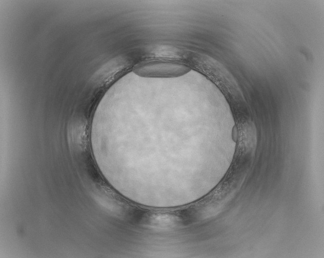 X0000114110360200911161123