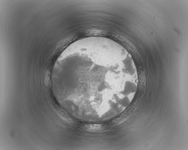 X0000114110361200911161123