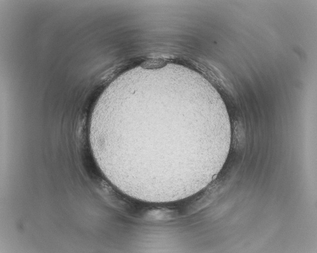 X0000114110364200911161123