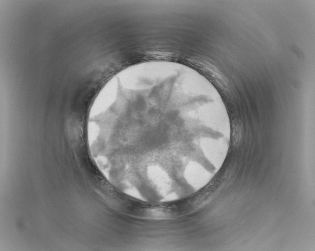 X0000114110365200911161123