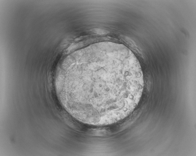 X0000114110366200911161123