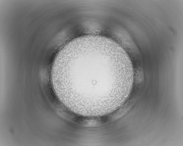 X0000114110370200911161123