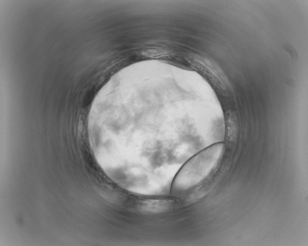 X0000114110371200911161123