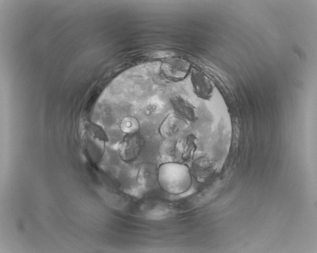 X0000114110373200911161123