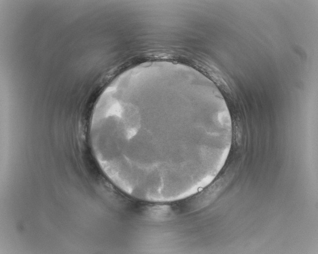 X0000114110374200911161123