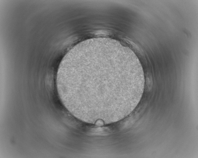 X0000114110379200911161123