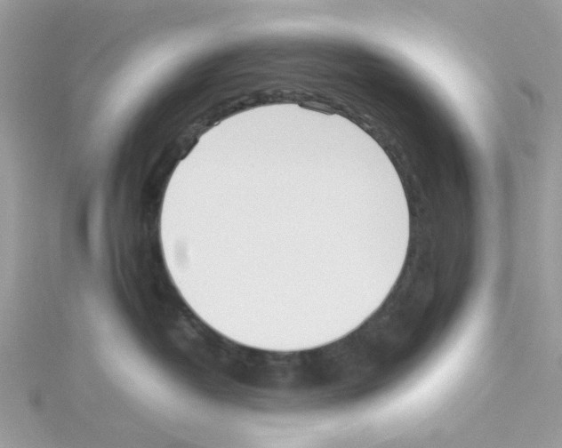 X0000114110382200911161124