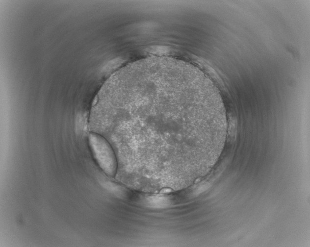 X0000114110383200911161124