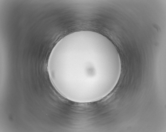 X0000114110384200911161124