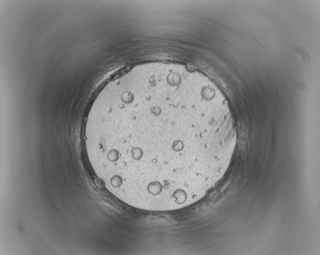 X0000114110386200911161123