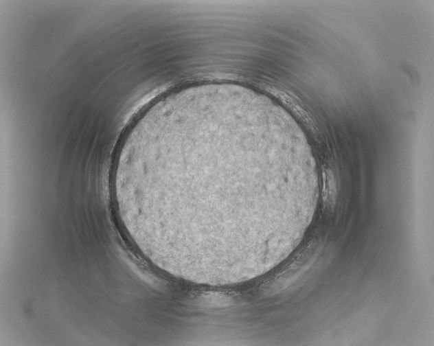 X0000114110390200911161123